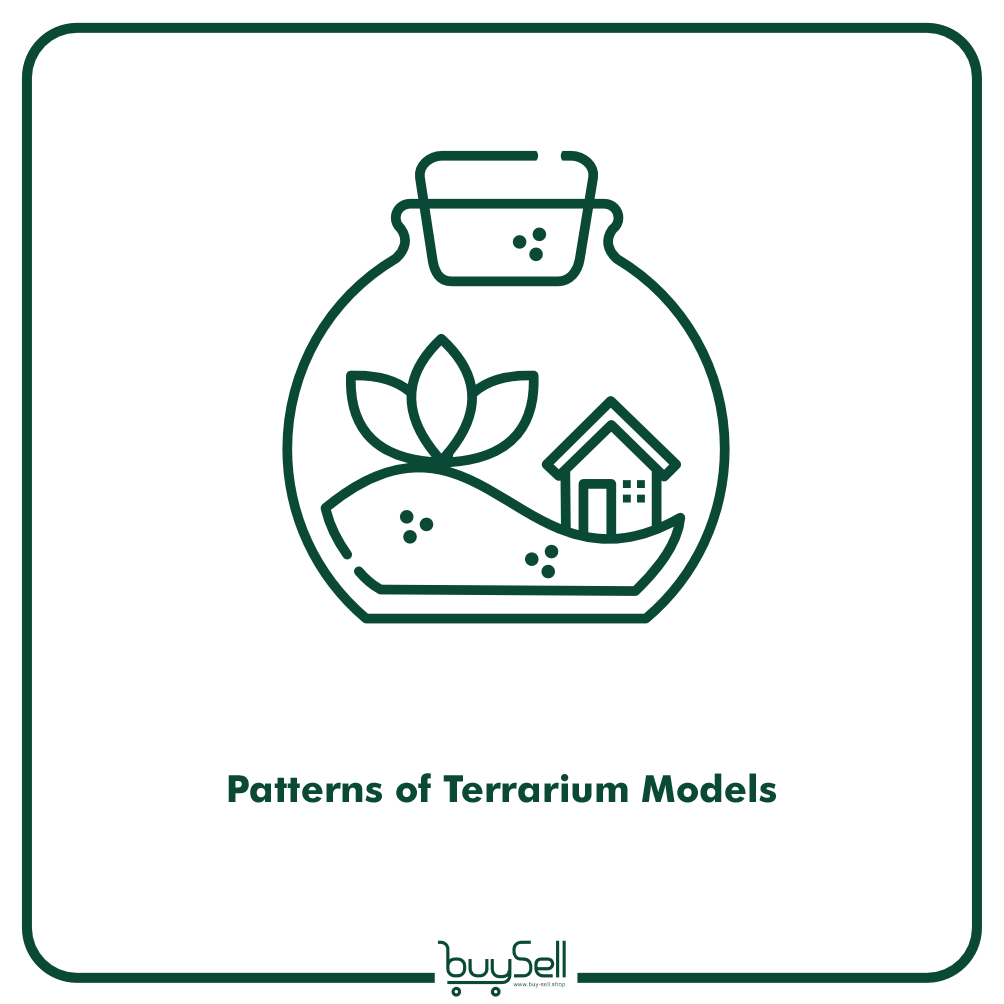 Patterns of Terrarium Models