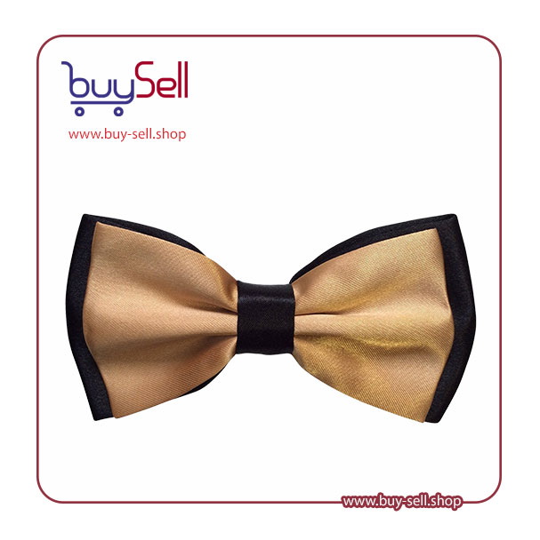 I need a PNG image of a bowtie with no background