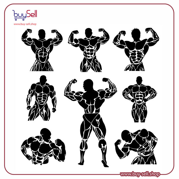 Men’s bodybuilding vector in 8 styles