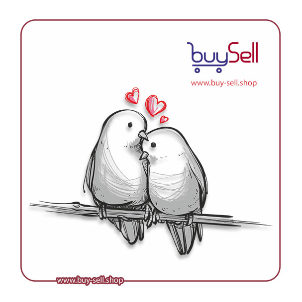 Valentine bird lover design vector