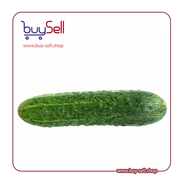 I need a cucumber image with no background