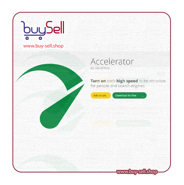 Download the Seraphinite Accelerator Extended plugin